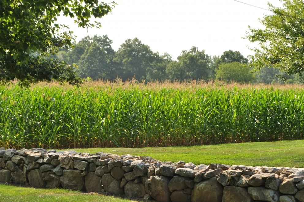 Image for 91.7+/- Acres Preserved Farmland Lebanon Twp, NJ-SOLD!