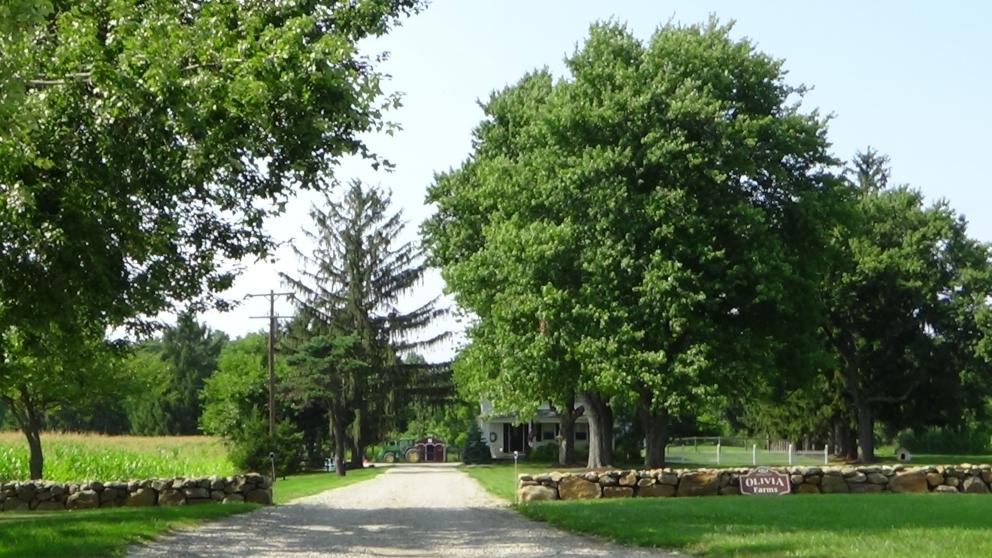 Image for 91.7+/- Acres Preserved Farmland Lebanon Twp, NJ-SOLD!