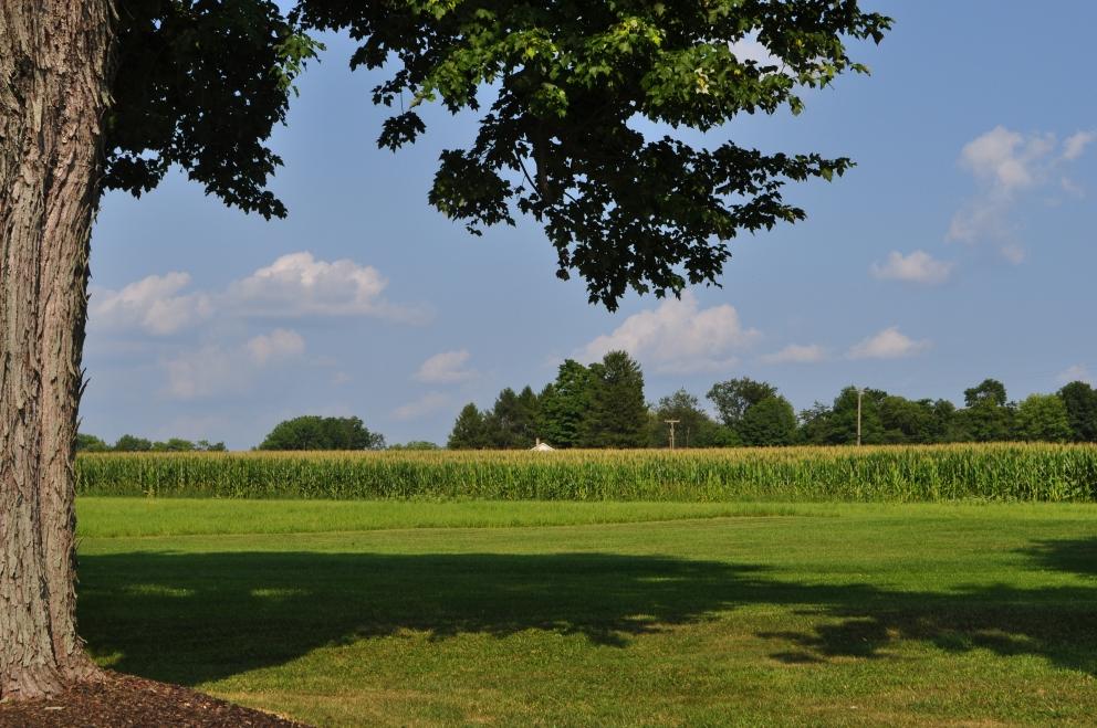 Image for 91.7+/- Acres Preserved Farmland Lebanon Twp, NJ-SOLD!