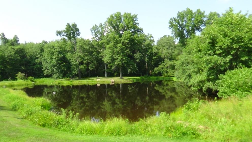 Image for 91.7+/- Acres Preserved Farmland Lebanon Twp, NJ-SOLD!