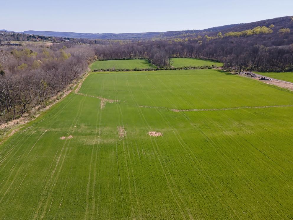 Image for 142+/- Acres Vineyard & Equestrian Farm along the Musconetcong River, Washington Twp, NJ-SOLD!