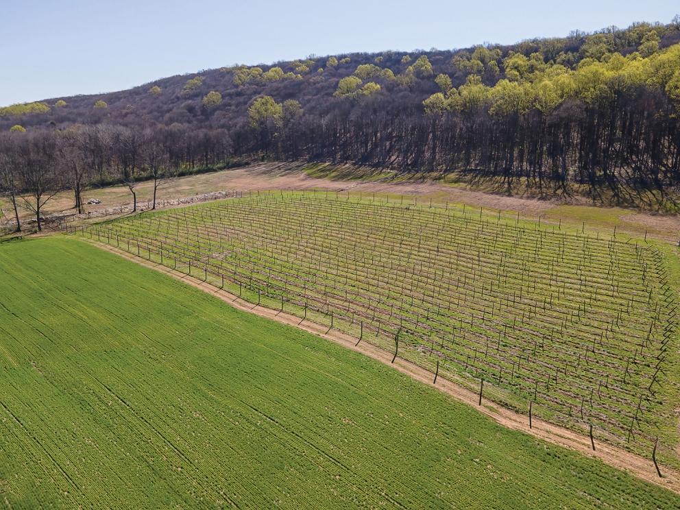 Image for 142+/- Acres Vineyard & Equestrian Farm along the Musconetcong River, Washington Twp, NJ-SOLD!