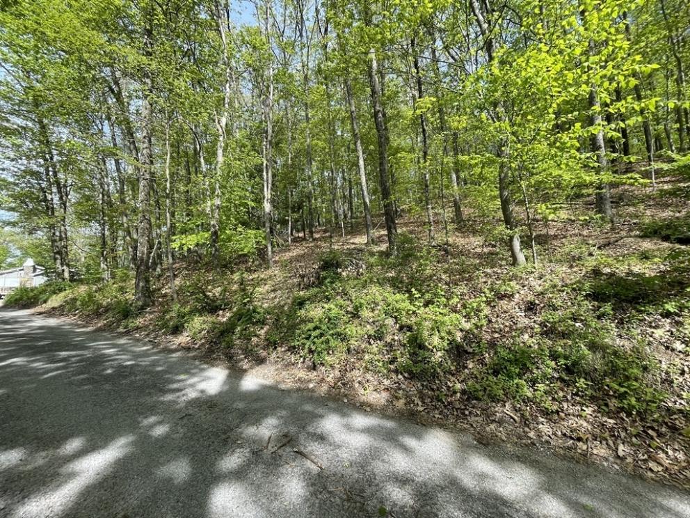 Image for 13 Residential and Commercial Lots Throughout Frankford Twp, NJ-SOLD!