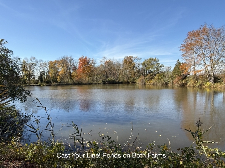 Image for Two Preserved Farms Totaling 193+/- Acres in Ocean County, NJ