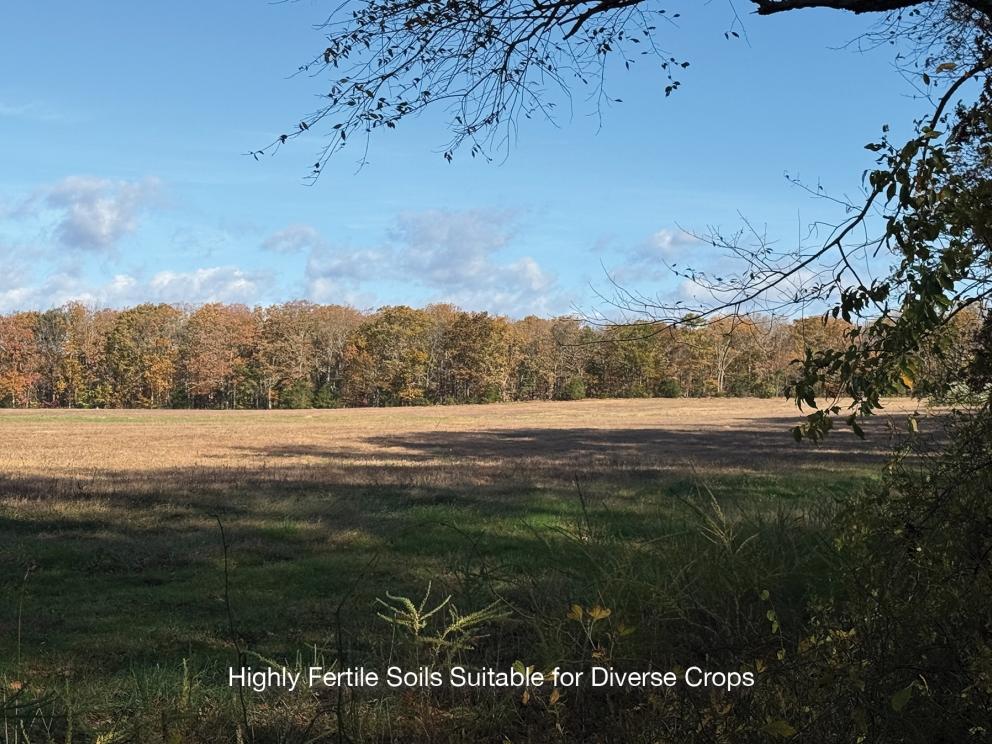 Image for Two Preserved Farms Totaling 193+/- Acres in Ocean County, NJ