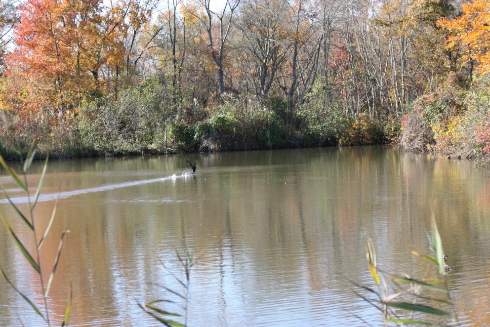 Image for Two Preserved Farms Totaling 193+/- Acres in Ocean County, NJ
