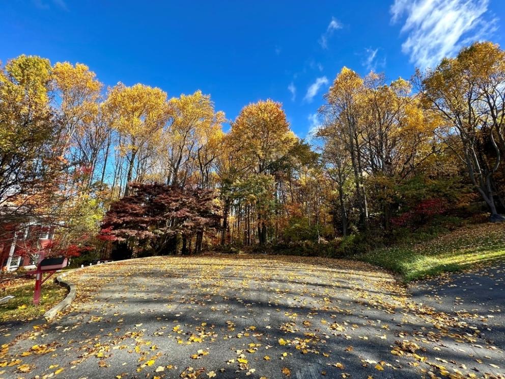 Image for 6 Residential Properties in Ogdensburg, Sussex County, NJ-SOLD!