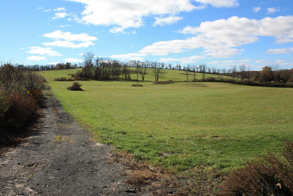 Image for 170+/- Acres Subdividable Farmland in Green Twp, Sussex County, NJ-SOLD!