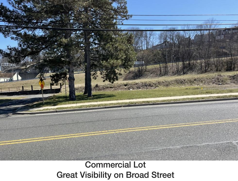 Main Street Retail Commercial Redevelopment Site, Residential Homes