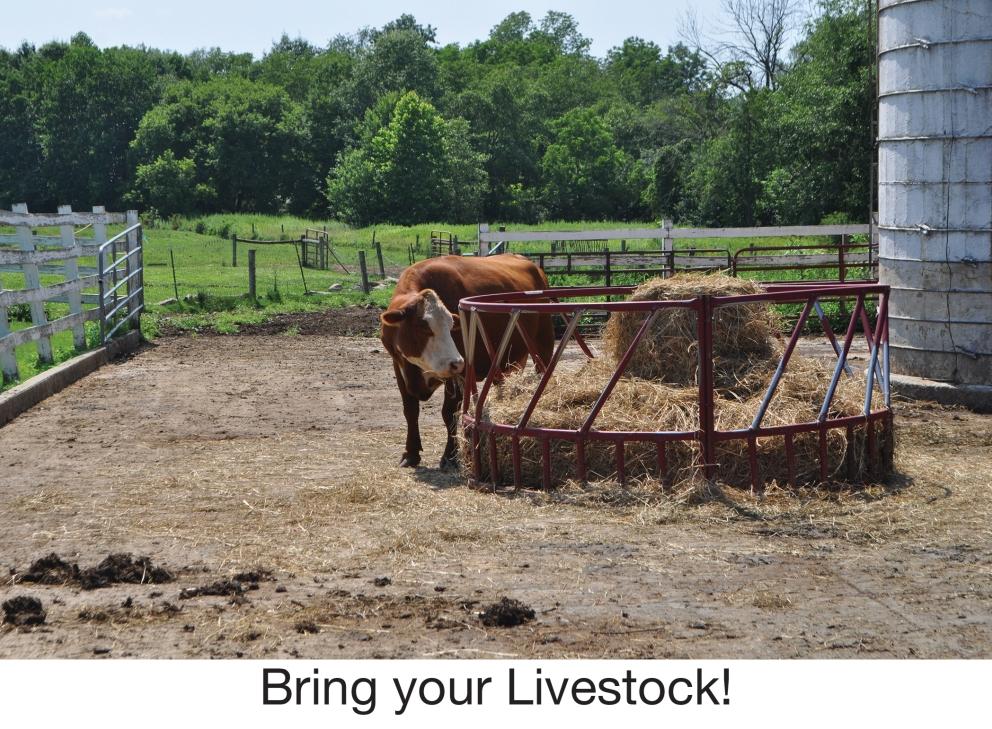 Image for “Beatty Farm” 150+ Acres Preserved Farmland in Hunterdon County, NJ-SOLD!
