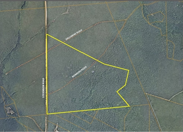 Image for 162 Acres Woodland, Former Boy Scout Wilderness Camp