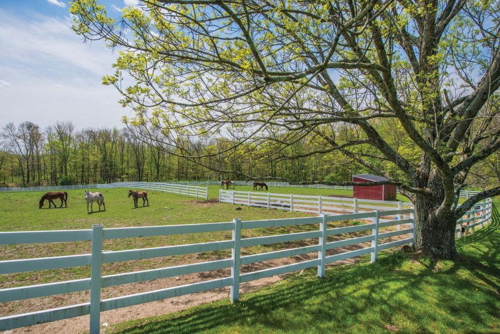 Image for “Wonderland Farms” 127+/- Acres Equestrian Estate in Hampton Twp, NJ-SOLD!
