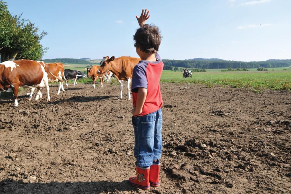 Image for Two Preserved Farms in the Princeton Area, NJ-SOLD!