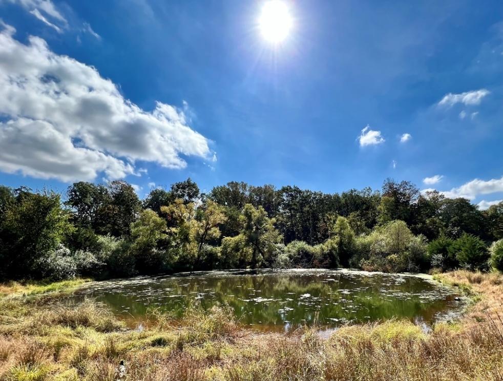 Image for Two Preserved Farms in the Princeton Area, NJ-SOLD!