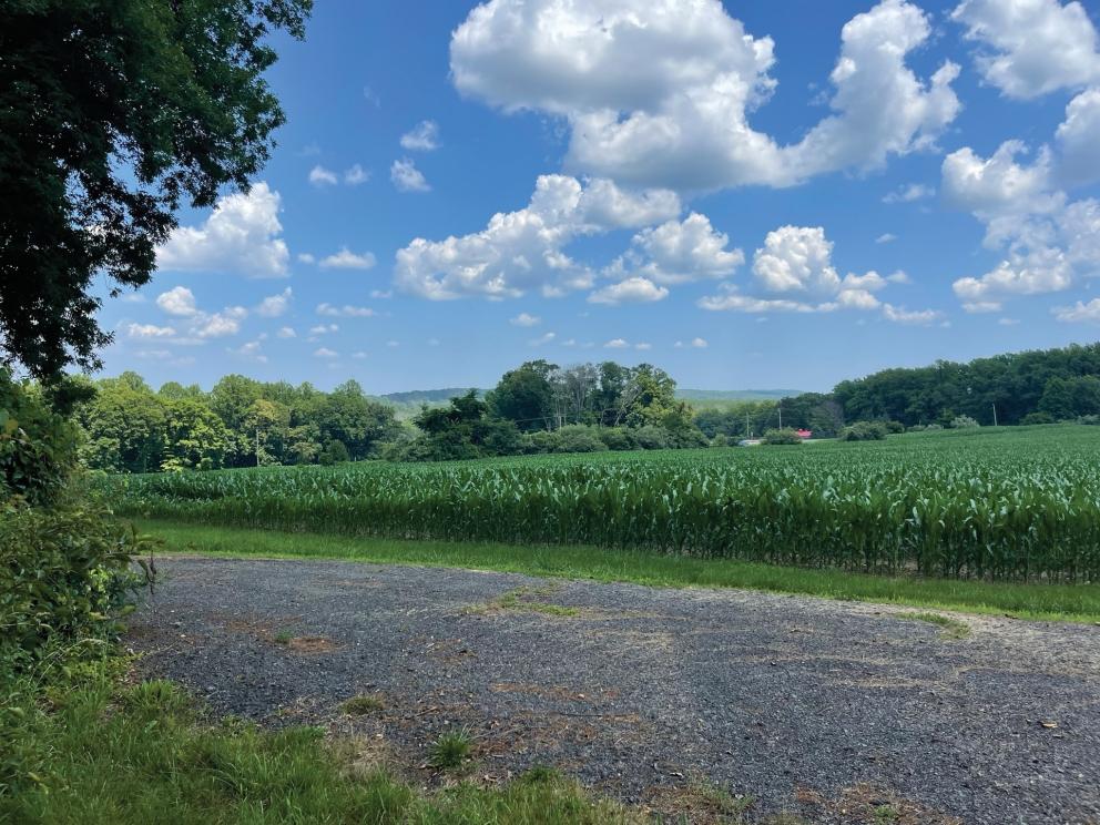 Image for Two Preserved Farms in the Princeton Area, NJ-SOLD!