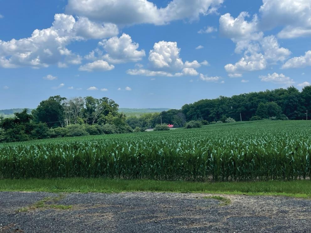 Image for Two Preserved Farms in the Princeton Area, NJ-SOLD!