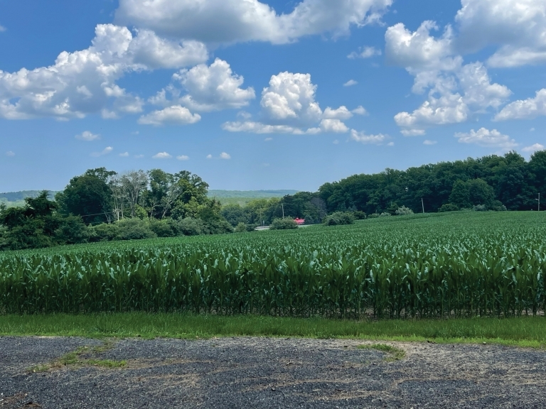 Image for Two Preserved Farms in the Princeton Area, NJ-SOLD!