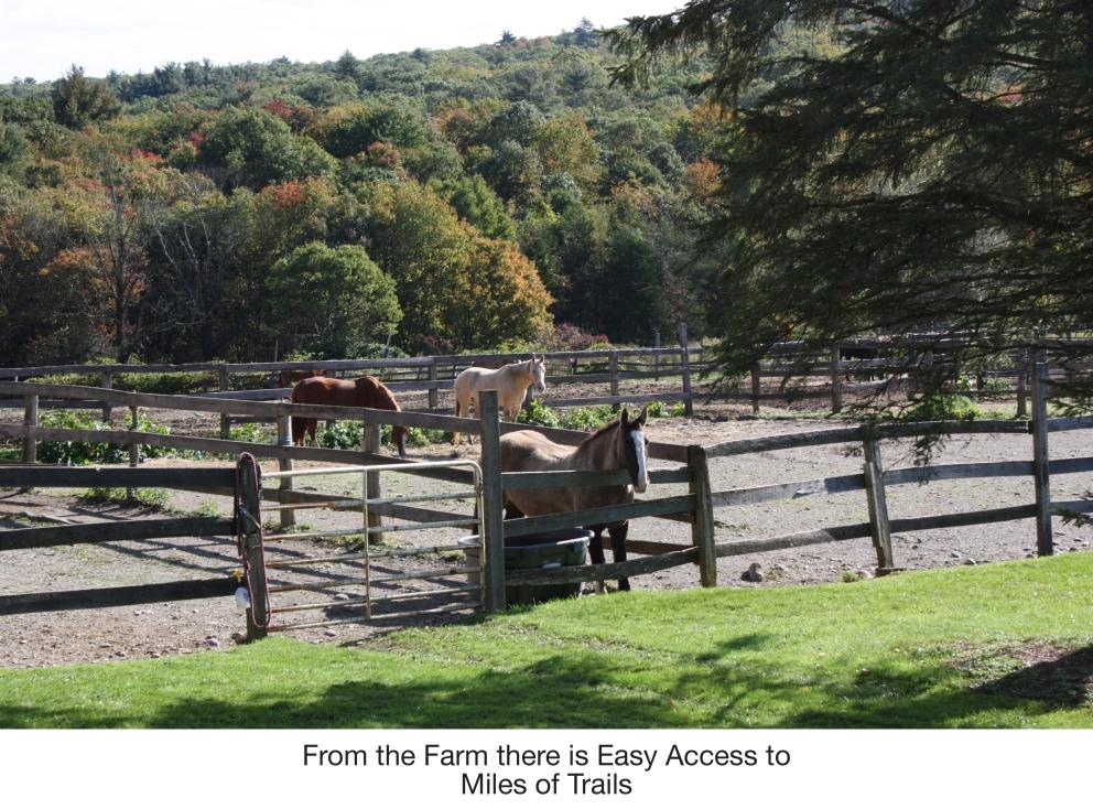 Image for Secluded Acres Farm: 42.28+/- Acres Equestrian Retreat in West Milford, NJ-SOLD!