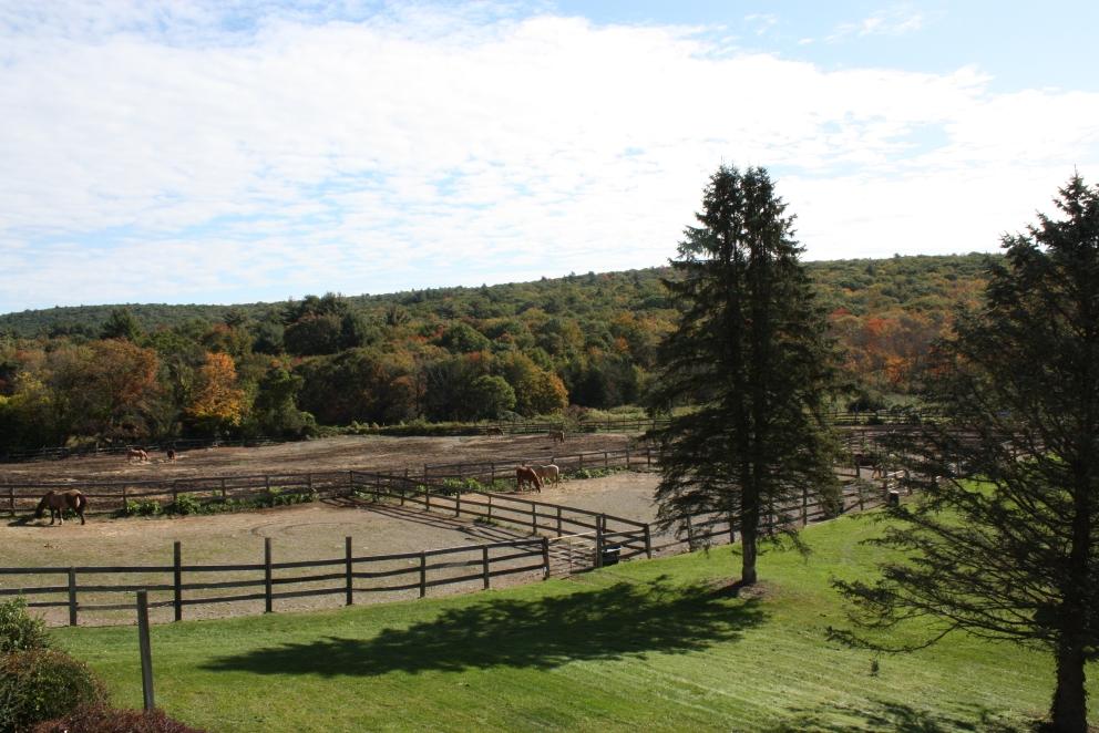 Image for Secluded Acres Farm: 42.28+/- Acres Equestrian Retreat in West Milford, NJ-SOLD!