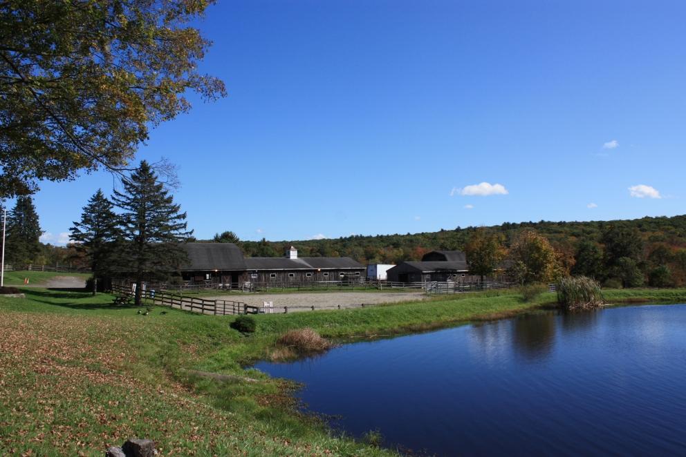 Image for Secluded Acres Farm: 42.28+/- Acres Equestrian Retreat in West Milford, NJ-SOLD!