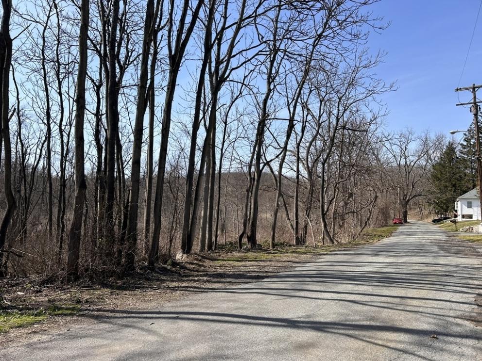 Image for One Commercial Main Street Lot and Six Residential Lots-Sold Separately in Ogdensburg, NJ