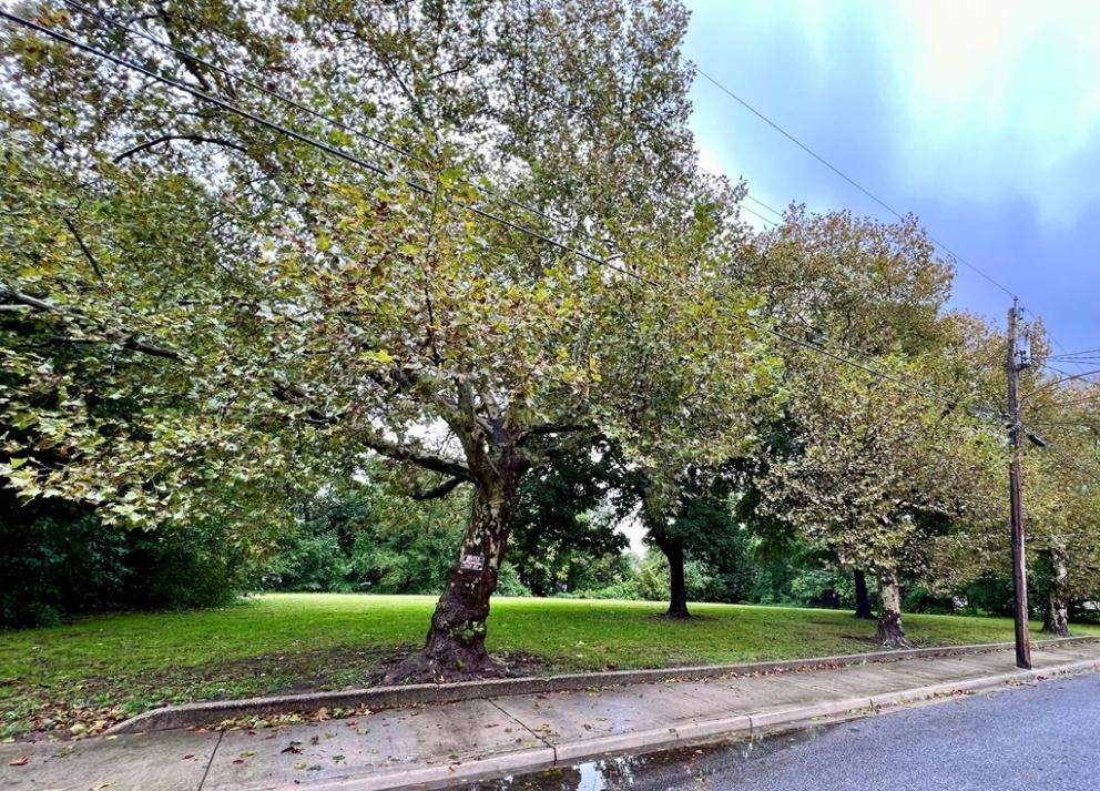 Image for 0.85+/- Acre Site with 205+/- ft of Frontage in Penns Grove, NJ-SOLD!