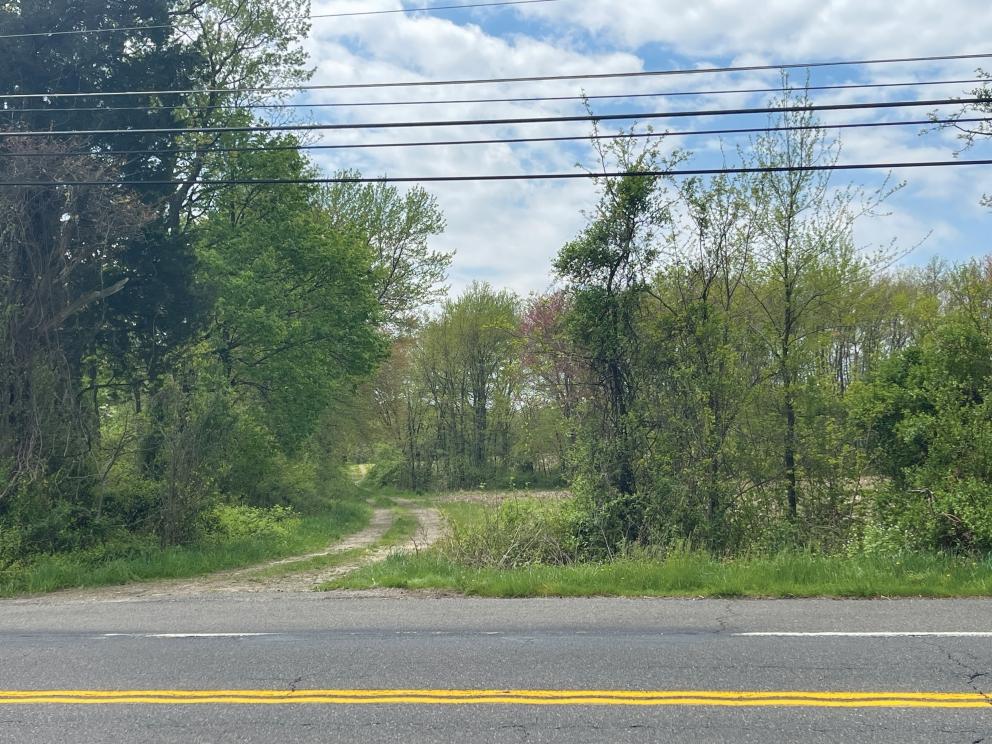 Image for 84+/- Non-Preserved Acres in Springfield, Burlington County, NJ-SOLD!