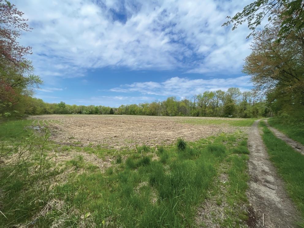 Image for 84+/- Non-Preserved Acres in Springfield, Burlington County, NJ-SOLD!