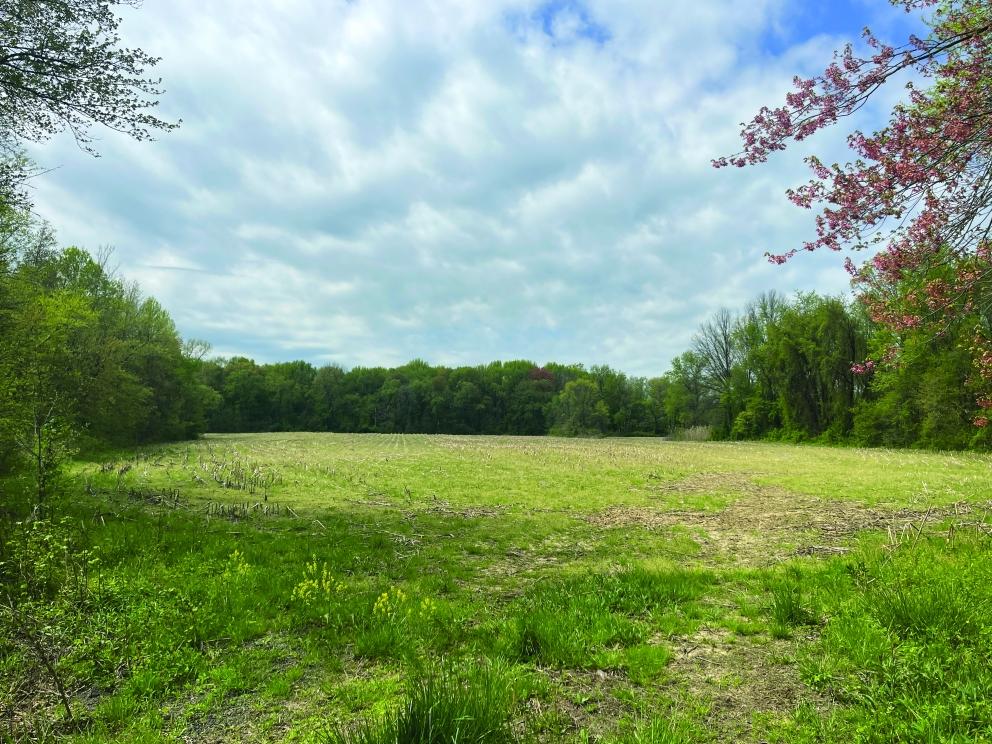 Image for 84+/- Non-Preserved Acres in Springfield, Burlington County, NJ-SOLD!