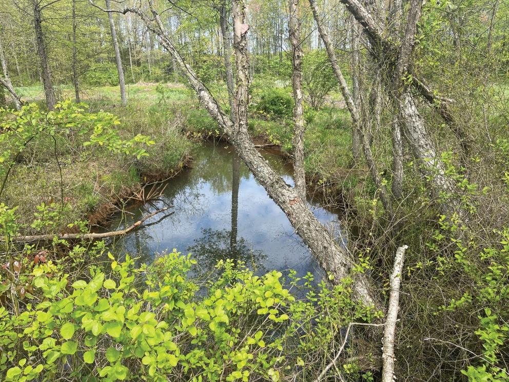 Image for 84+/- Non-Preserved Acres in Springfield, Burlington County, NJ-SOLD!