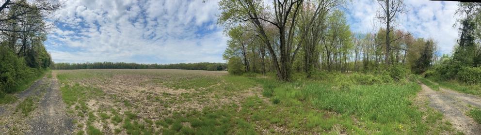 Image for 84+/- Non-Preserved Acres in Springfield, Burlington County, NJ-SOLD!