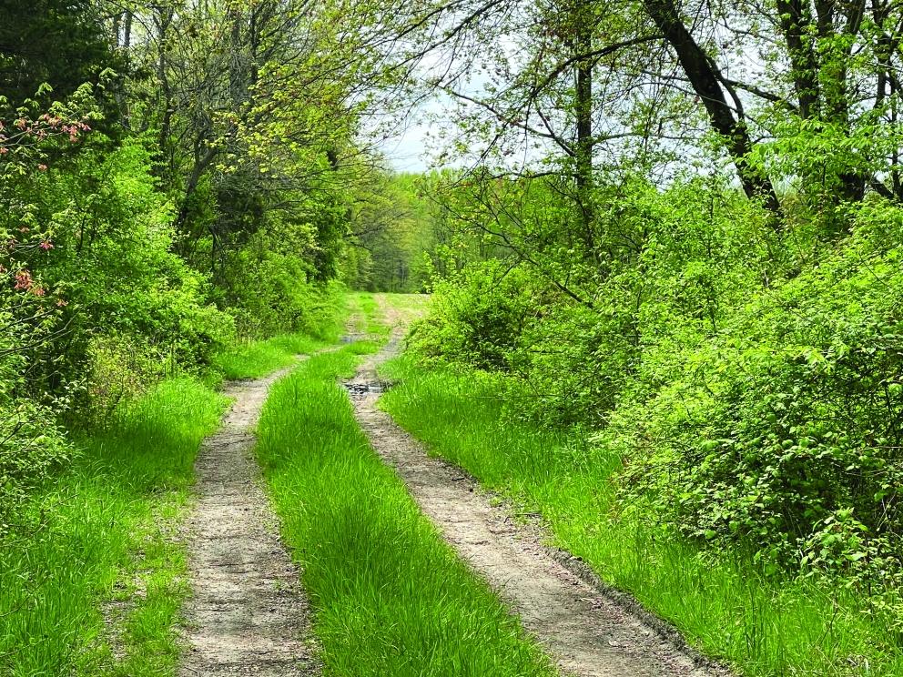 Image for 84+/- Non-Preserved Acres in Springfield, Burlington County, NJ-SOLD!