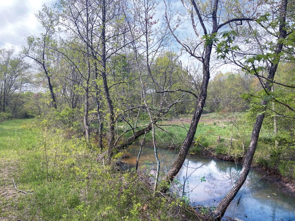 Image for 84+/- Non-Preserved Acres in Springfield, Burlington County, NJ-SOLD!