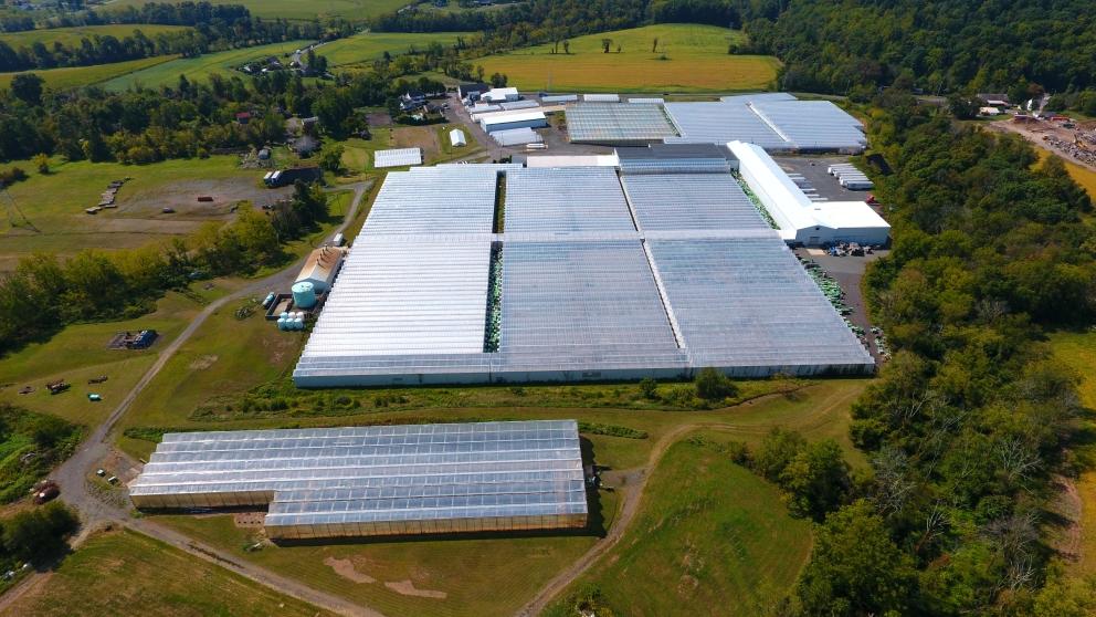 Image for Major Greenhouse Operation on 95+/- Acres of Preserved Farmland in Lehigh Valley, PA-SOLD!