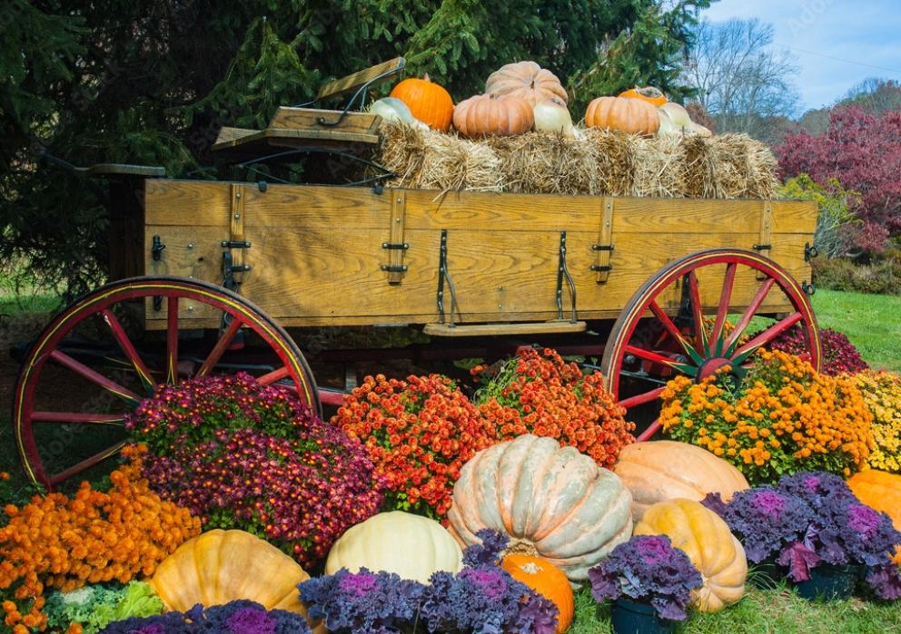 Image for Major Greenhouse Operation on 95+/- Acres of Preserved Farmland in Lehigh Valley, PA-SOLD!