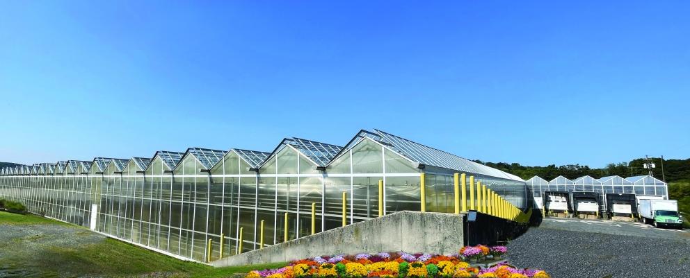 Image for Major Greenhouse Operation on 95+/- Acres of Preserved Farmland in Lehigh Valley, PA-SOLD!