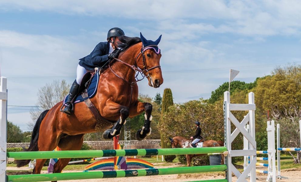 Image for 235+/- Acres Equestrian Farm in Colts Neck, NJ-SOLD!