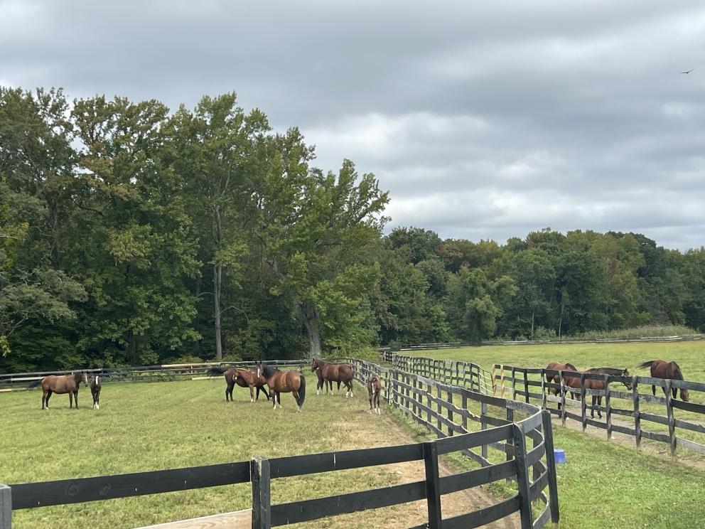 Image for 235+/- Acres Equestrian Farm in Colts Neck, NJ-SOLD!