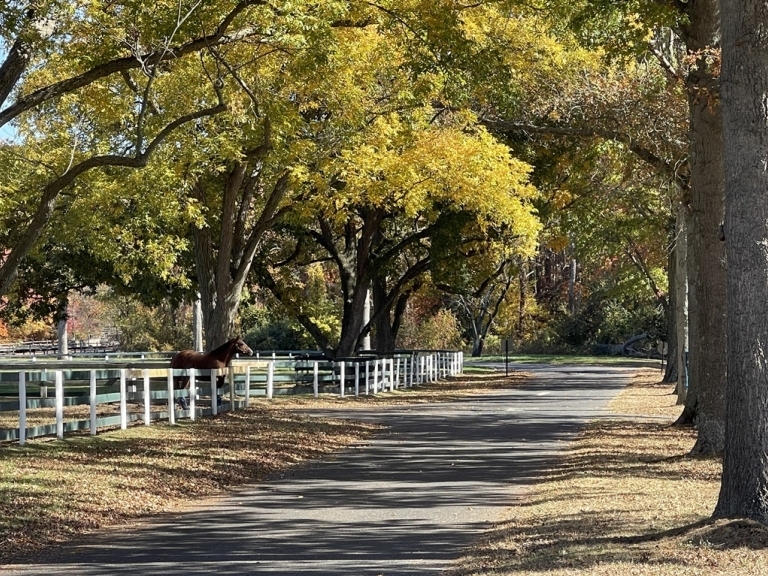 Image for 235+/- Acres Equestrian Farm in Colts Neck, NJ-SOLD!