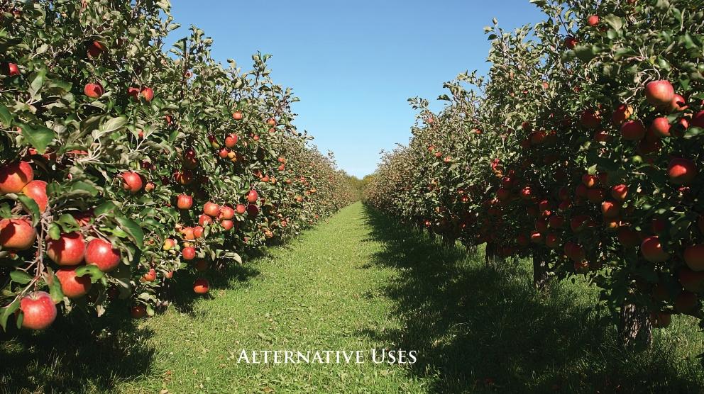 Image for 235+/- Acres Equestrian Farm in Colts Neck, NJ-SOLD!
