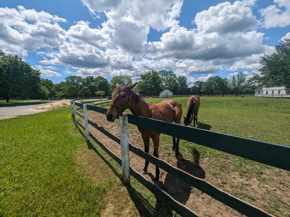Image for 235+/- Acres Equestrian Farm in Colts Neck, NJ-SOLD!
