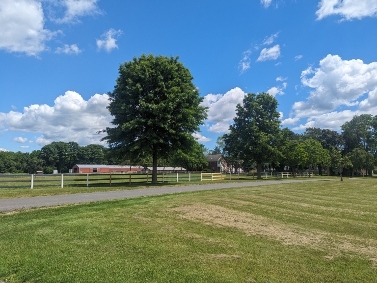 Image for 235+/- Acres Equestrian Farm in Colts Neck, NJ-SOLD!