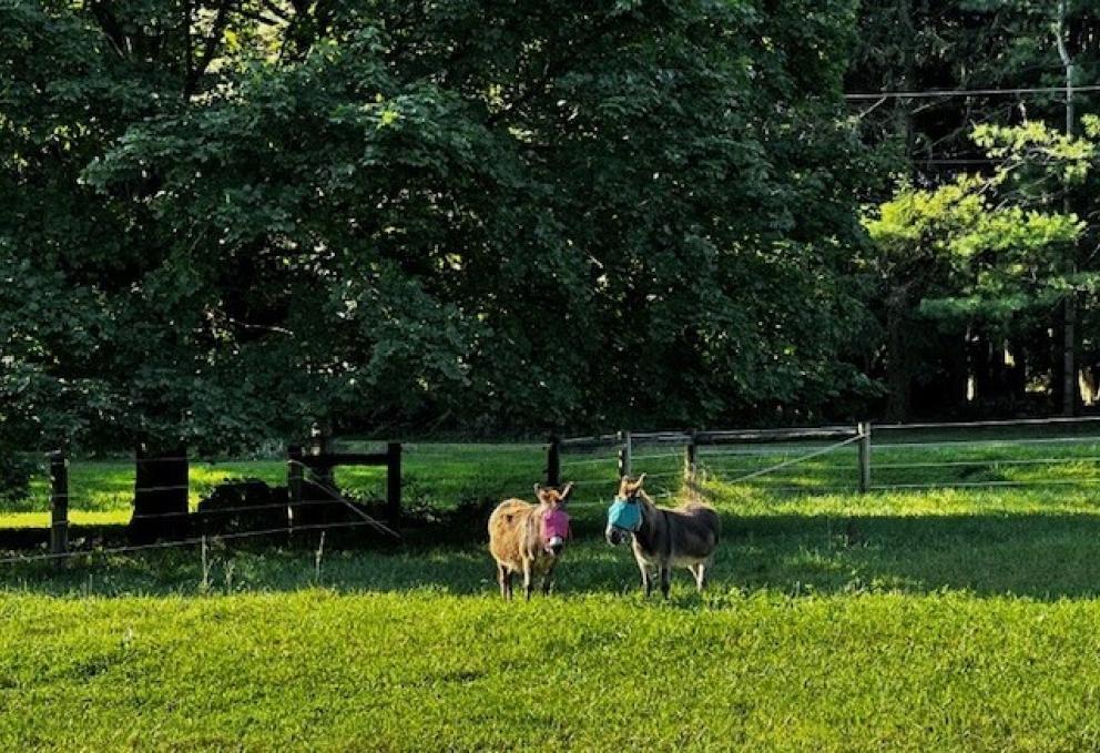 Image for 6+/- Acres Charming Farmette in Berks County, PA-SOLD!