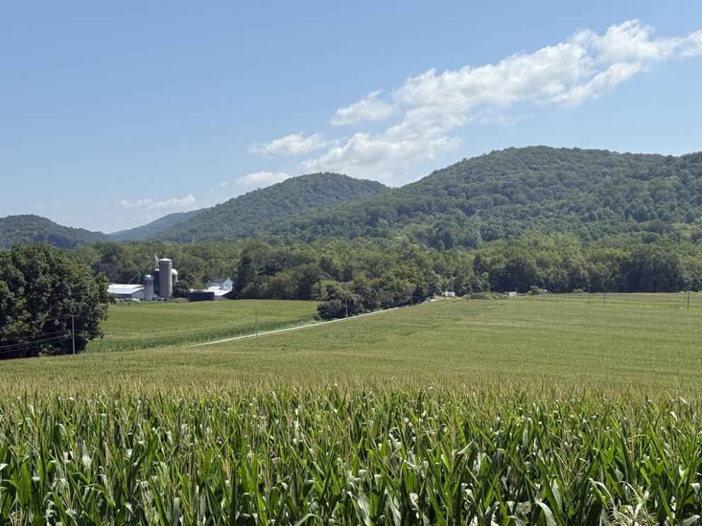 Image for 186.87± Acres Preserved Farm along the Musconetcong River, Pohatcong Twp, NJ-UNDER CONTRACT!