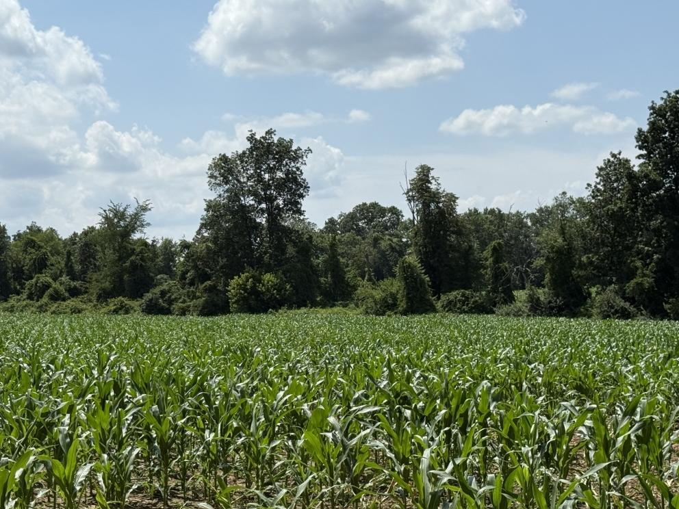 Image for 58.9+/- Acres Farmland in Hampton Borough, Hunterdon County, NJ-Under Contract!