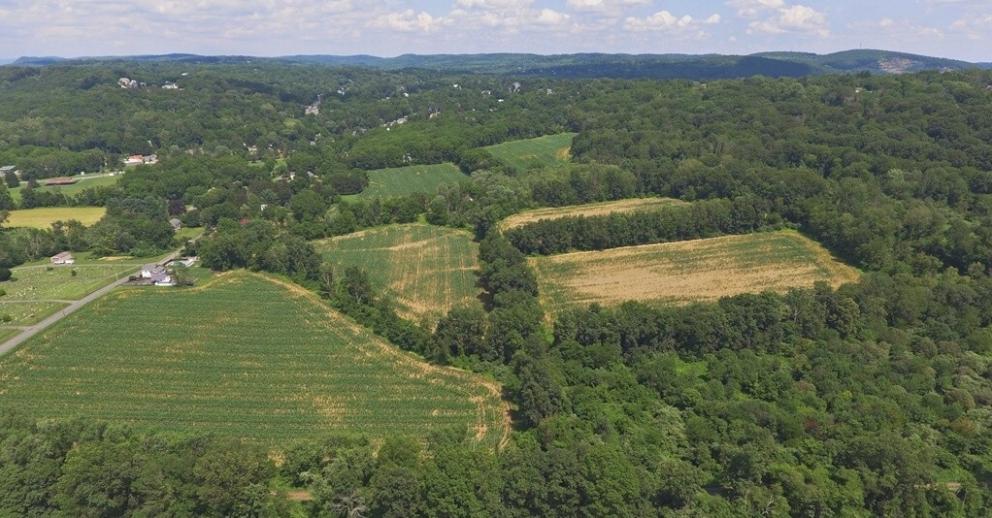 Image for 58.9+/- Acres Farmland in Hampton Borough, Hunterdon County, NJ-Under Contract!