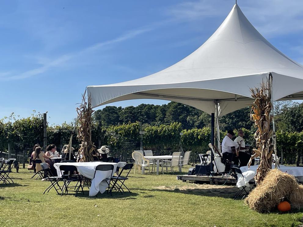 Image for Fully Operating Vineyard in Cape May Courthouse, NJ