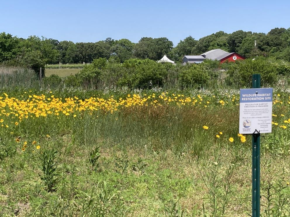 Image for Fully Operating Vineyard in Cape May Courthouse, NJ