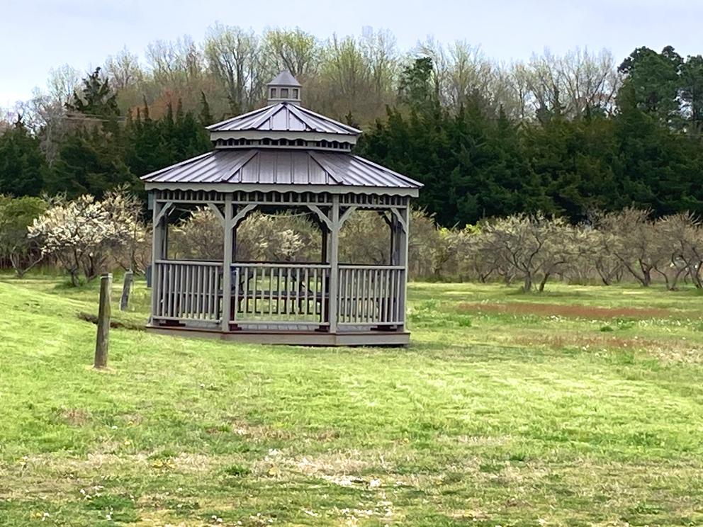 Image for Fully Operating Vineyard in Cape May Courthouse, NJ