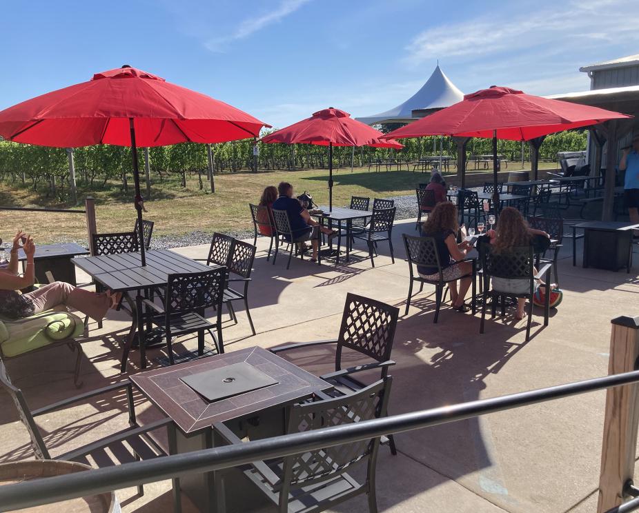 Image for Fully Operating Vineyard in Cape May Courthouse, NJ